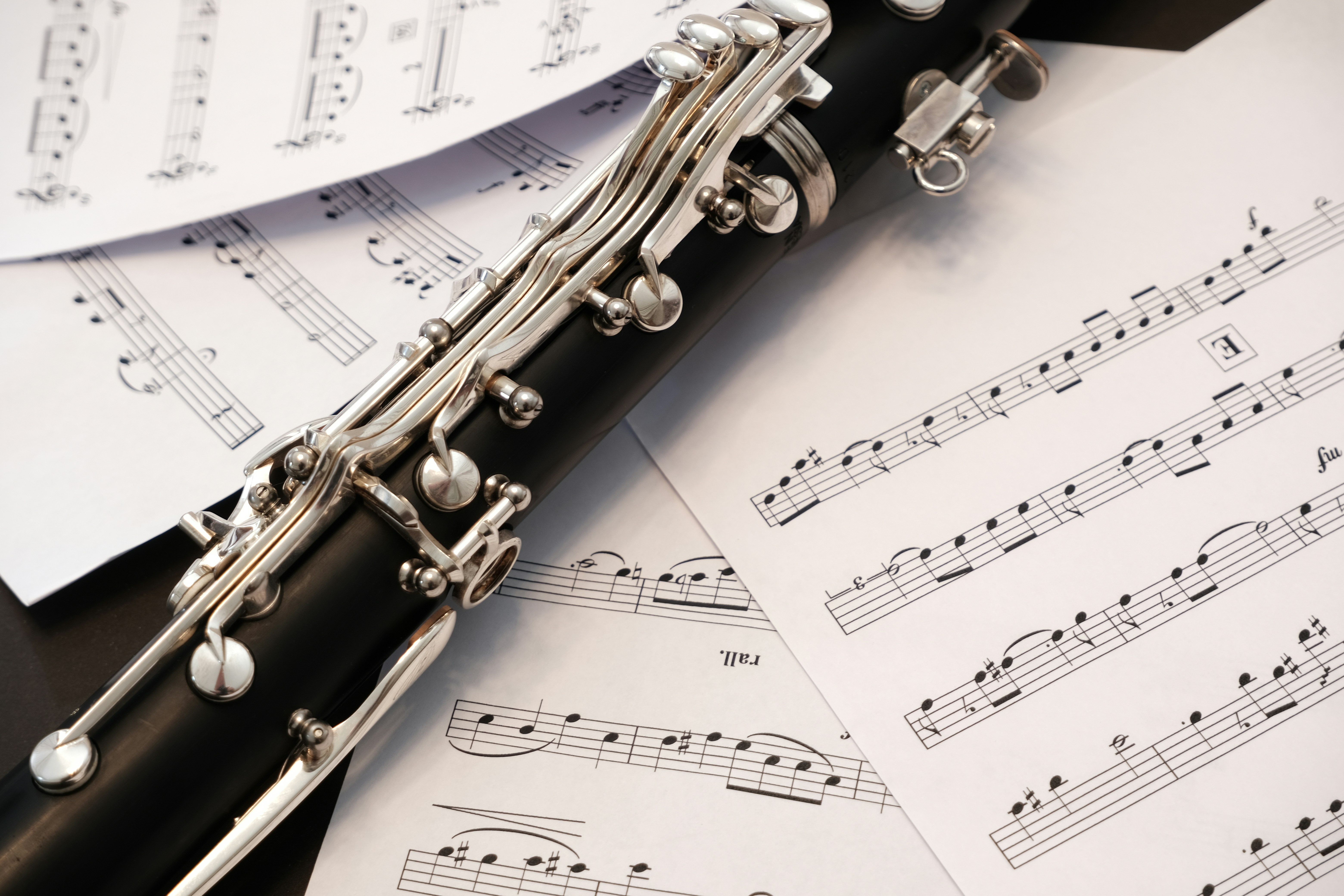 Sound Quality of Woodwind Instruments